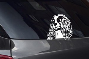 Spaniel Looking Out Window Decal