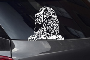 Springer Spaniel Looking Out Window Decal