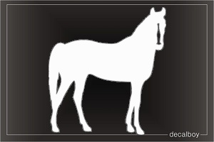 Thoroughbred Horse Silhouette Window Decal
