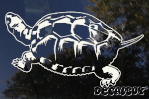 Turtle Reptile Aquarium Window Decal