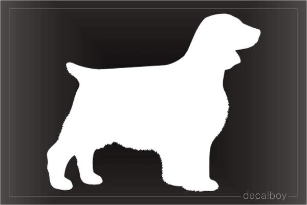 Welsh Springer Spaniel Show Dog Decal