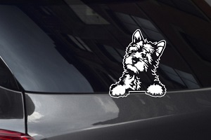 Yorkshire Puppy Looking Out Window Decal
