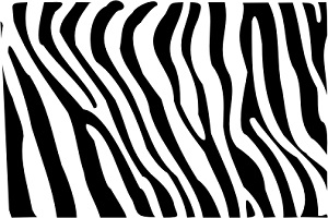 Zebra Print Window Decal