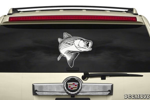Bass Fishing Freshwater Decal Sticker for Car Window BG 777 
