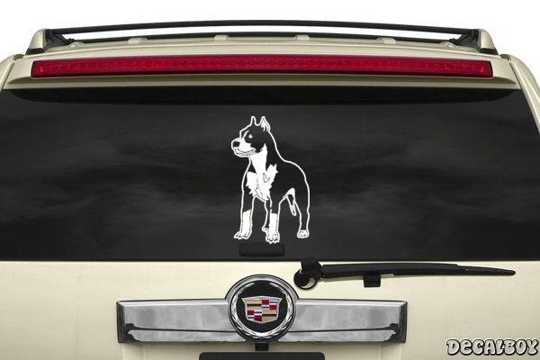 Pitbull 2024 car decal