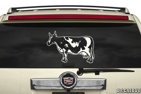 Decal Cattle