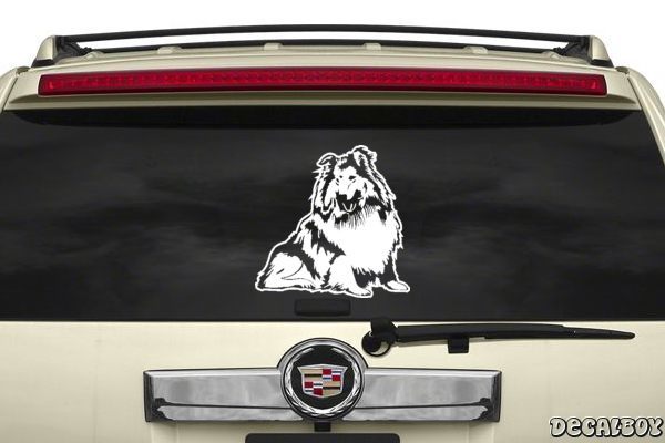 Decal Collie