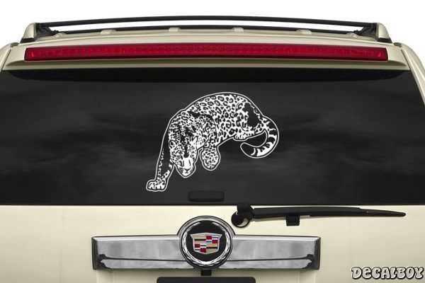 Decal Cougars