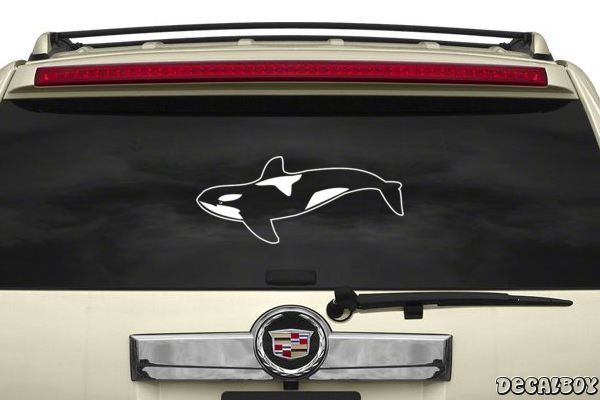 Decal Orca