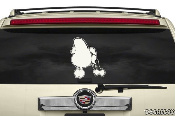 Decal Poodle