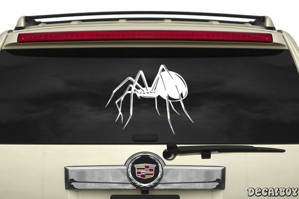 Decal Spider