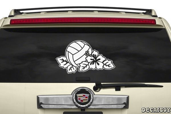 Decal Volleyball