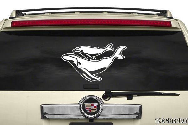 Decal Whale