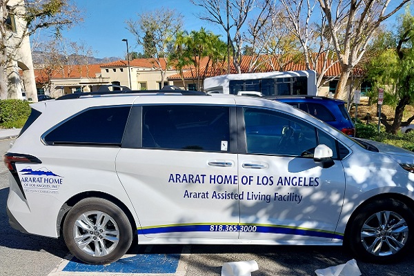 Decal Custom Lettering