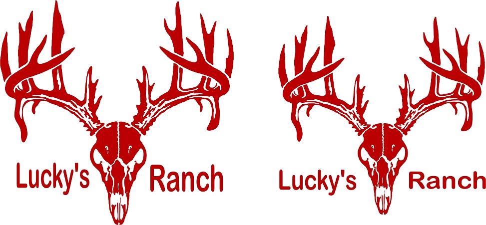 Deer Buck Skull Decal